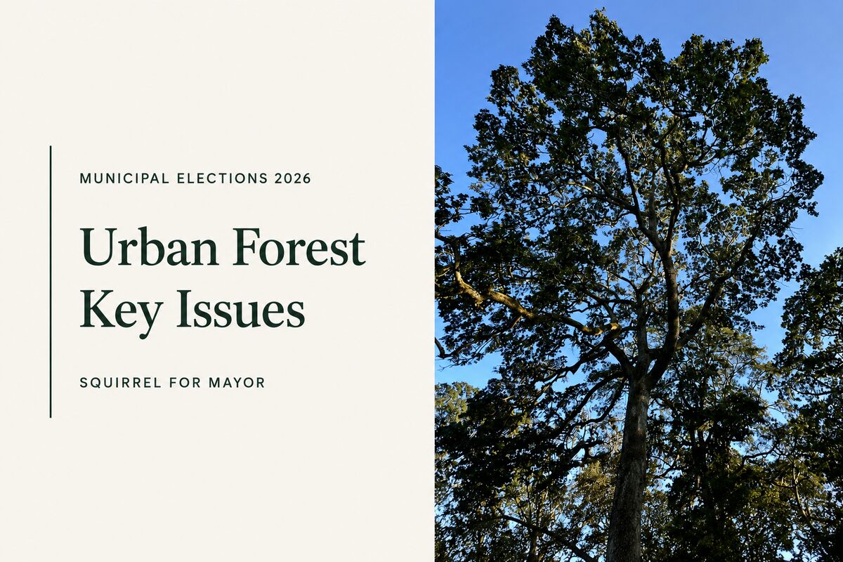 Municipal Elections 2026 – Urban Forest Key Issues